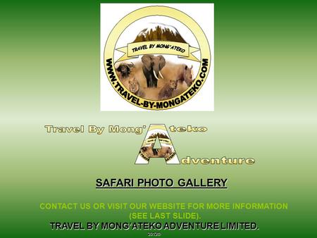 TRAVEL BY MONG’ATEKO ADVENTURE LIMITED. 2012© SAFARI PHOTO GALLERY CONTACT US OR VISIT OUR WEBSITE FOR MORE INFORMATION (SEE LAST SLIDE).