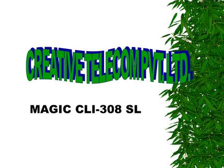 MAGIC CLI-308 SL CPU CARD  CPU CARD CONSISTS OF FOLLOWING HARDWARE :- – SERIAL PORT-RS232 – EXTERNAL MUSIC PORT – DTMF DIALER / RECEIVER – IN BUILT.