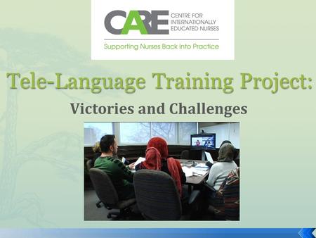 Tele-Language Training Project: Victories and Challenges.