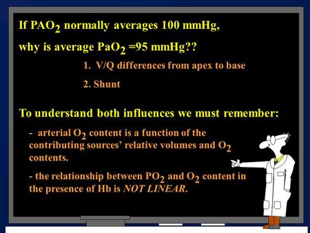 If PAO 2 normally averages 100 mmHg, why is average PaO 2 =95 mmHg?? 1. V/Q differences from apex to base 2. Shunt To understand both influences we must.