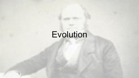 Evolution. Breaking Down the Definitions Honors 1.Evolution 2.Natural selection 3.Adaptation 4.Fitness 5.Convergent evolution 6.Divergent evolution 7.Adaptive.