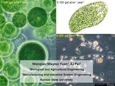 Wenqiao (Wayne) Yuan 1, ZJ Pei 2 1 Biological and Agricultural Engineering 2 Manufacturing and Industrial System Engineering Kansas State University 1,600.