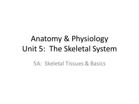 Anatomy & Physiology Unit 5: The Skeletal System 5A: Skeletal Tissues & Basics.