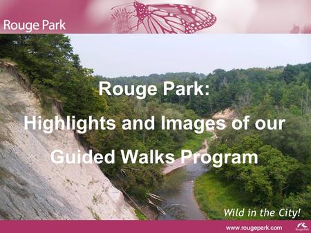 Www.rougepark.com Wild in the City! Rouge Park: Highlights and Images of our Guided Walks Program.