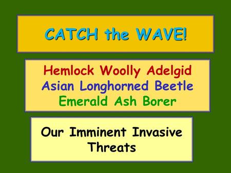 Hemlock Woolly Adelgid Asian Longhorned Beetle Emerald Ash Borer CATCH the WAVE! Our Imminent Invasive Threats.