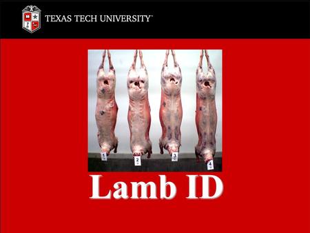 Lamb ID. Breast Leg Loin Rib Shoulder Variety Lamb ID Breast.