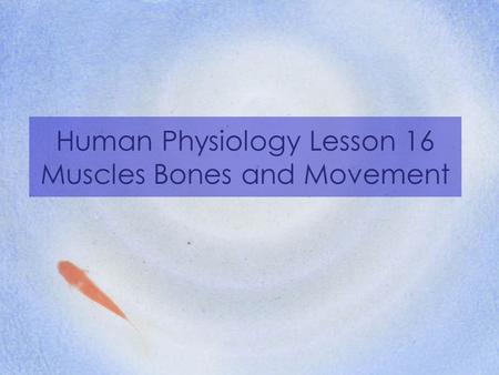 Human Physiology Lesson 16 Muscles Bones and Movement.