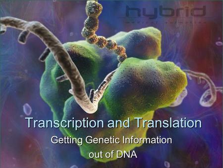 Transcription and Translation Getting Genetic Information out of DNA out of DNA.