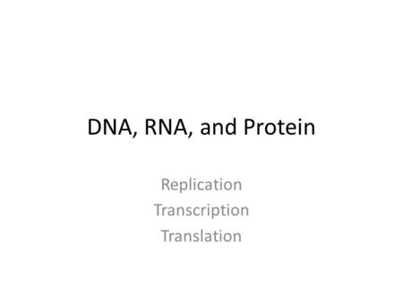 Replication Transcription Translation