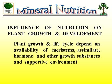 INFLUENCE OF NUTRITION ON PLANT GROWTH & DEVELOPMENT Plant growth & life cycle depend on availability of meristems, assimilate, hormone and other growth.