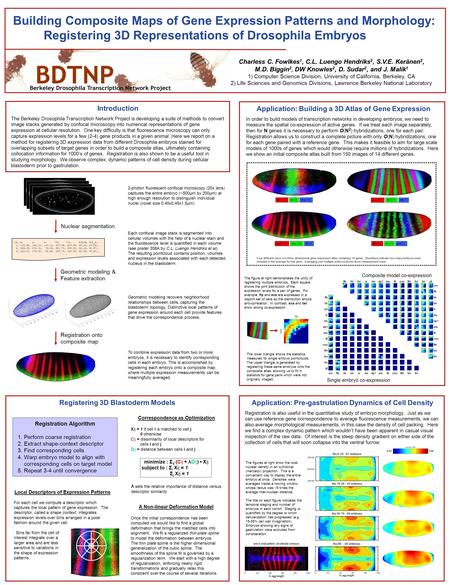 Introduction The Berkeley Drosophila Transcription Network Project is developing a suite of methods to convert image stacks generated by confocal microscopy.