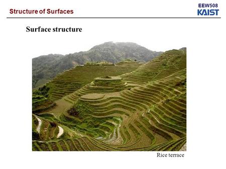 EEW508 Structure of Surfaces Surface structure Rice terrace.