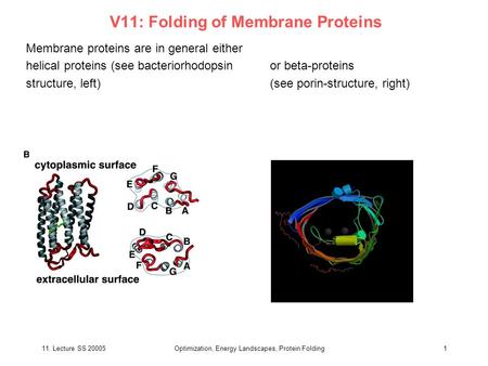 11. Lecture SS 20005Optimization, Energy Landscapes, Protein Folding1 V11: Folding of Membrane Proteins Membrane proteins are in general either helical.