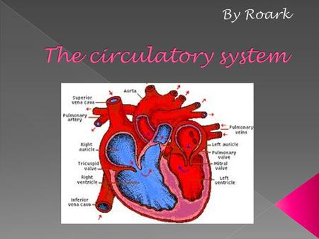 Circulatory System - the system of blood, vessels, and heart concerned with circulation of body fluids. Plasma - the watery part of blood cell that carries.