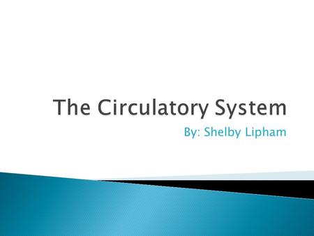 By: Shelby Lipham  The circulatory system is made up of the muscles and vessels that help control the flow of blood around the body. This process is.