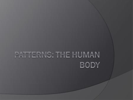 Holarchies Any Body System ○ The circulatory system, the digestive system, the muscular system, the immune system, etc.. The Hand ○ Each finger can be.