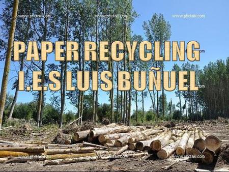 WHAT ARE WE DOING…? We want to recycle paper because this action can help the environment. If we recycle 1000 kg we can save 15 trees.