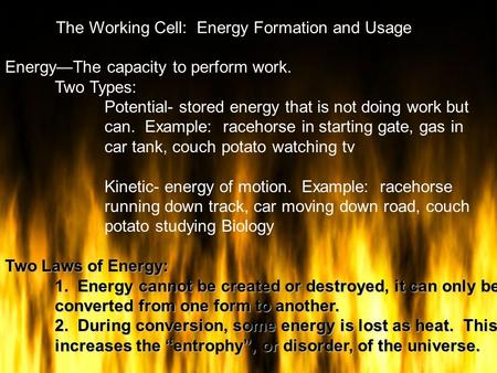 The Working Cell: Energy Formation and Usage Energy—The capacity to perform work. Two Types: Potential- stored energy that is not doing work but can. Example: