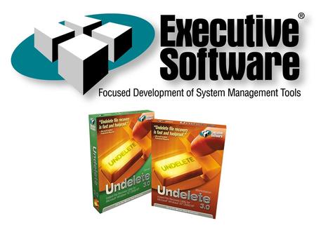 Founded in 1981, Executive Software is the industry leader in system performance software for Windows NT/2000/XP and DEC VMS systems. Developed Diskeeper,