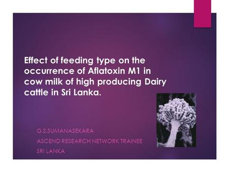 Effect of feeding type on the occurrence of Aflatoxin M1 in cow milk of high producing Dairy cattle in Sri Lanka. G.S.SUMANASEKARA ASCEND RESEARCH NETWORK.