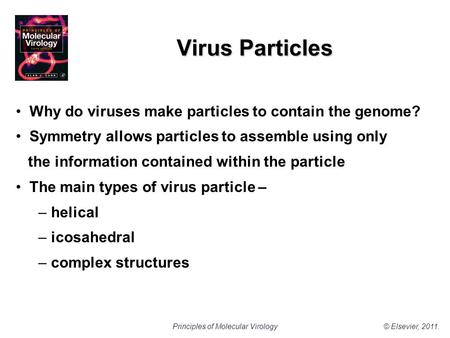 © Elsevier, 2011.Principles of Molecular Virology Virus Particles Why do viruses make particles to contain the genome? Symmetry allows particles to assemble.