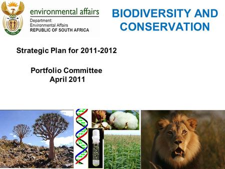 BIODIVERSITY AND CONSERVATION Strategic Plan for 2011-2012 Portfolio Committee April 2011.