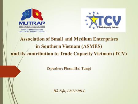 Association of Small and Medium Enterprises in Southern Vietnam (ASMES) and its contribution to Trade Capacity Vietnam (TCV) (Speaker: Pham Hai Tung) Hà.