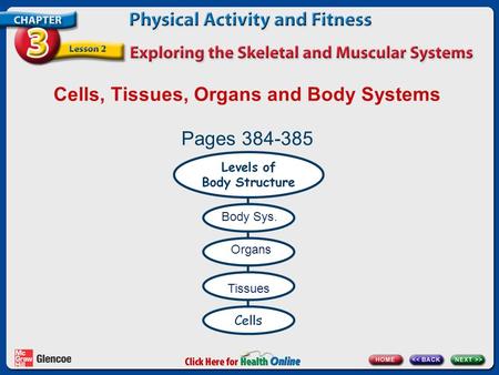 Cells, Tissues, Organs and Body Systems Pages 384-385 Tissues Organs Body Sys.