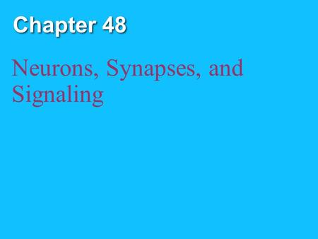 Chapter 48 Neurons, Synapses, and Signaling. Copyright © 2008 Pearson Education, Inc., publishing as Pearson Benjamin Cummings Overview: Lines of Communication.