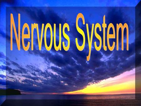 The nervous system gathers and interprets information about the body’s internal and external environments and response to that information.