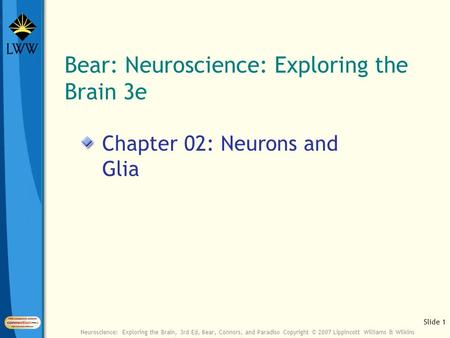 Slide 1 Neuroscience: Exploring the Brain, 3rd Ed, Bear, Connors, and Paradiso Copyright © 2007 Lippincott Williams & Wilkins Bear: Neuroscience: Exploring.