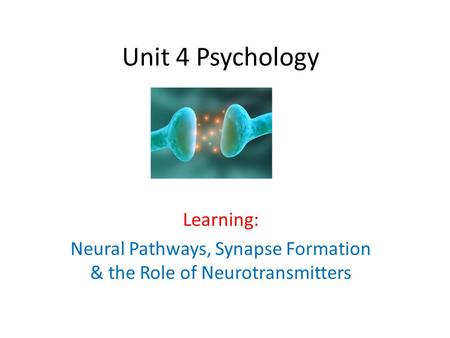 Unit 4 Psychology Learning: Neural Pathways, Synapse Formation & the Role of Neurotransmitters.