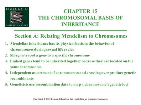 CHAPTER 15 THE CHROMOSOMAL BASIS OF INHERITANCE Copyright © 2002 Pearson Education, Inc., publishing as Benjamin Cummings Section A: Relating Mendelism.