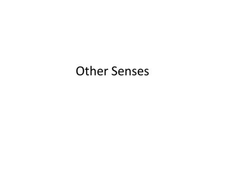 Other Senses. Taste Papillae – small bumps on the tongue that have taste buds in them. Taste buds - taste receptor cells in mouth; responsible for sense.