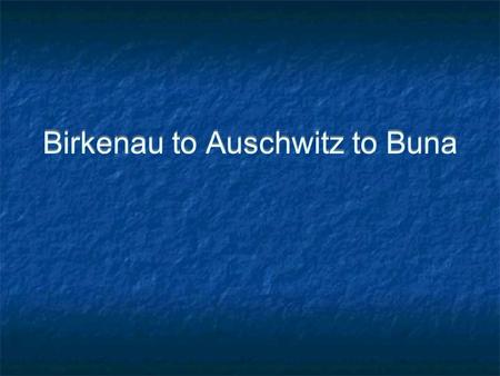 Birkenau to Auschwitz to Buna