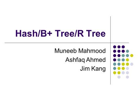 Hash/B+ Tree/R Tree Muneeb Mahmood Ashfaq Ahmed Jim Kang.