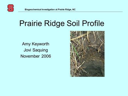 Biogeochemical Investigation at Prairie Ridge, NC Prairie Ridge Soil Profile Amy Keyworth Jovi Saquing November 2006.