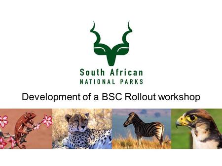 Development of a BSC Rollout workshop. Some general notes – Pre Workshops Development of a workbook Train the Trainer session – these to be used for identified.