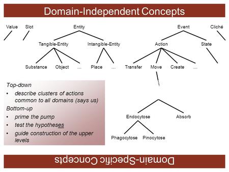 Domain-Independent Concepts Domain-Specific Concepts SlotEntityEventValueCliché ActionStateIntangible-EntityTangible-Entity ObjectSubstance…Place…Transfer…CreateMove.