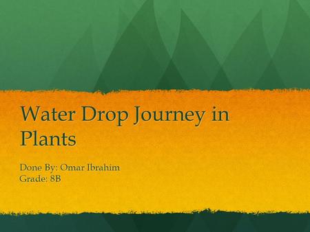 Water Drop Journey in Plants Done By: Omar Ibrahim Grade: 8B.