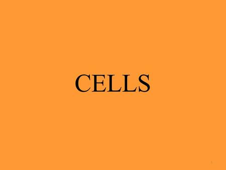 CELLS 1. LIFE IS CELLULAR OBJECTIVES: 7.1 Explain what the cell theory is. Describe how researchers explore the living cell. Distinguish between eukaryotes.