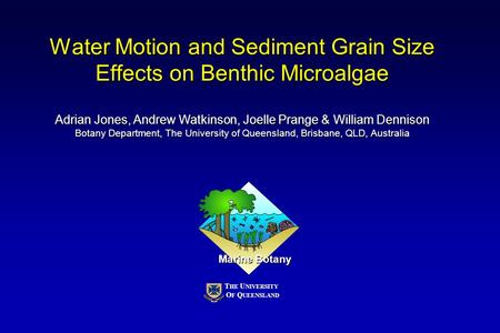 Water Motion and Sediment Grain Size Effects on Benthic Microalgae Adrian Jones, Andrew Watkinson, Joelle Prange & William Dennison Botany Department,