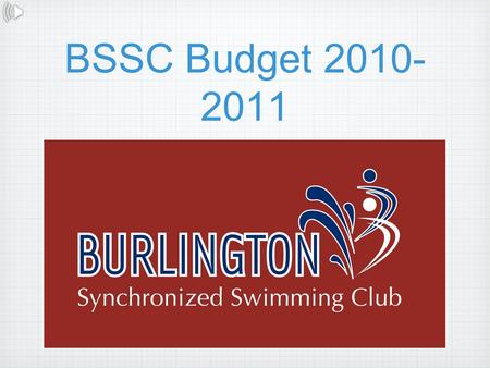 BSSC Budget 2010- 2011. Winter Demo Income Sources Swimmers Type of CostAmount Competitive Swimmers$176,323.00 Recreational Swimmers$34,269.00 Technical.