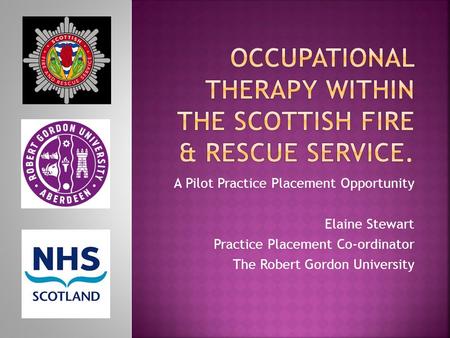 A Pilot Practice Placement Opportunity Elaine Stewart Practice Placement Co-ordinator The Robert Gordon University.