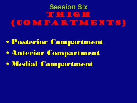 Session Six Thigh (Compartments) Posterior Compartment Anterior Compartment Medial Compartment.