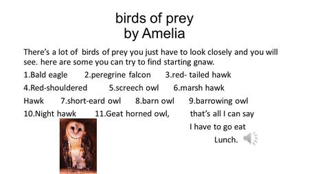 birds of prey by Amelia There’s a lot of birds of prey you just have to look closely and you will see. here are some you can try to find starting gnaw.