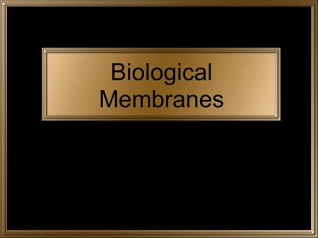 Biological Membranes. Lipid Bilayer Phospholipids form bilayers in water Fluid mosaic model of membrane structure Membrane is only 10 nm thick Proteins.