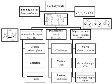 Carbohydrate ________________: (one – simple sugar) C6H12O 6 Glucose - Green plants Galactose _____________ - Fruits Disaccharide: (two) C12H22O 11 ______________.