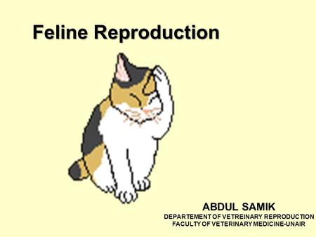 Feline Reproduction ABDUL SAMIK DEPARTEMENT OF VETREINARY REPRODUCTION