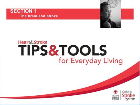 SECTION 1 The brain and stroke. How the brain works Understanding stroke Stroke risk factors Effects of stroke Stroke recovery 2.